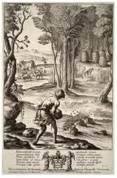 Enruchement des abeilles. État 1